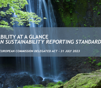 Sustainability At a Glance - ESRS
